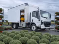 2026 Isuzu NRR Derate Crew Cab (Class 5 Diesel) - Image 18