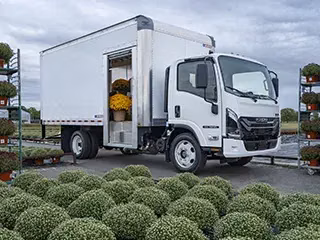 2026 Isuzu NRR Crew Cab (N-Series Diesel) 150 in Wheelbase - Image 24
