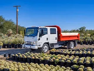2026 Isuzu NPR Standard Cab (N-Series Gas) 176 in Wheelbase - Image 18
